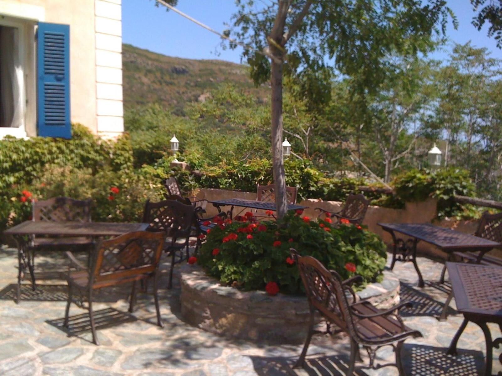 Un patio al aire libre con suelo de piedra, mesas y sillas de metal, y diversas plantas y flores.