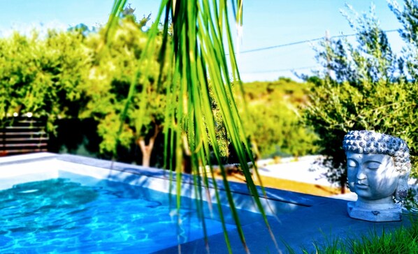 Una piscina con una estatua y abundante vegetación al fondo.