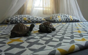 2 bedrooms, WiFi