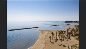 A beach with a calm sea, sandy shore, and palm trees. - VILLA sea view, panoramic view, 8 pers fréjus  (Fréjus)