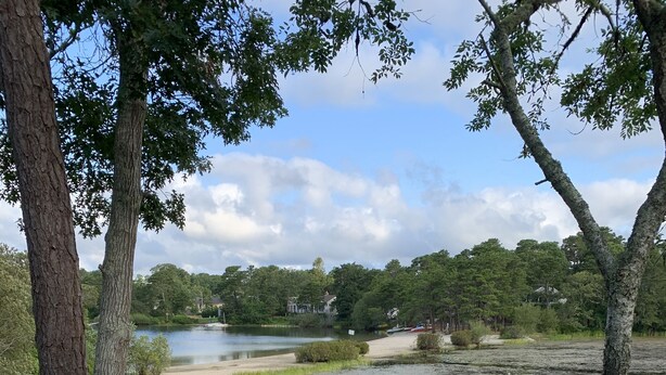 Une vue sur le lac, avec une jetée en bois menant à une zone herbeuse.