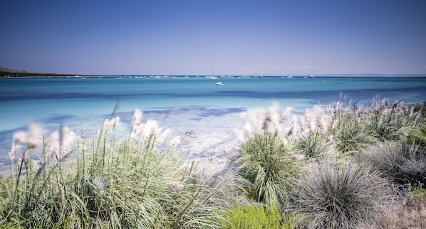 Un paysage côtier caractérisé par une eau turquoise cristalline, des bateaux et une végétation côtière.