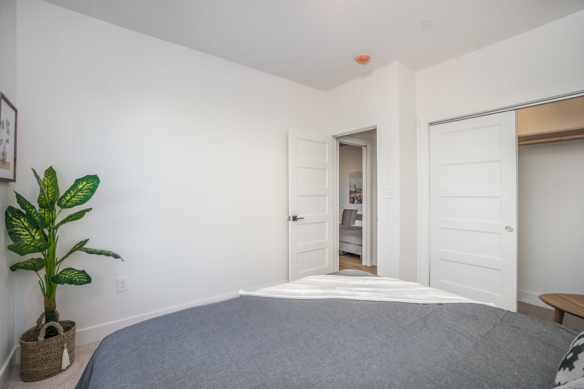 Une chambre à coucher avec un lit, une plante en pot et une armoire.