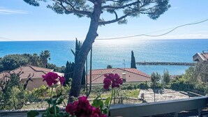 Une vue côtière avec un pin imposant, un ciel bleu dégagé et une vue lointaine sur la mer.
