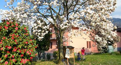 Beautiful home in Artogne