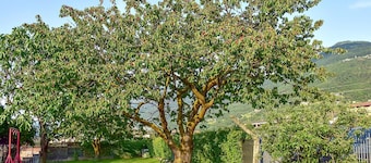 Bella casa ad Artogne