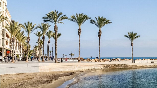 A coastal promenade lined with palm trees and a beach. - Amazing apartment in Torrevieja with WiFi (Torrevieja)