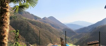 Lovely apartment for 4 people with TV, balcony and pets allowed