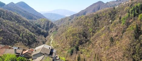 A rural landscape with a winding road, houses with sloped roofs, and dense forested hills.