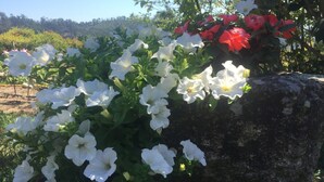 A garden with white and red flowers, a large rock, and a clear blue sky. - Casa de Ventozella (Penafiel)
