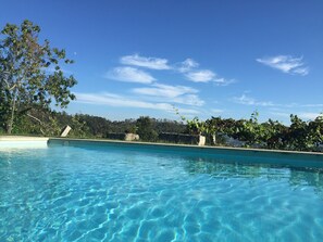 A clear blue pool with a tiled edge, surrounded by lush greenery and trees.