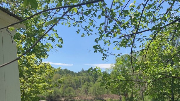 A riverside view with two Adirondack chairs facing a calm river, surrounded by lush greenery and a clear sky. - Waterfront, Swimming Hotspot, Private Down Town Location, Farmhouse (Waitsfield)