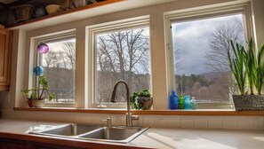 Enjoy a winter view from the kitchen window, featuring a double sink and potted plants.
