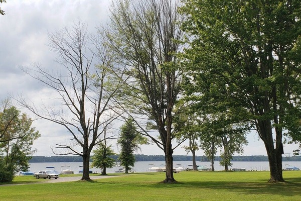 Lakefront view of Docks