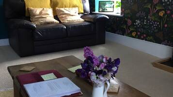 Smart TV, DVD player, books, stereo