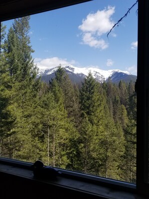 Panoramic views of dense evergreen forests and snow-capped mountains.