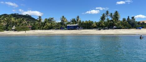 A beach with a clear blue sky, palm trees, and a blue building with a white roof.
