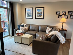 Smart TV, fireplace, DVD player, books