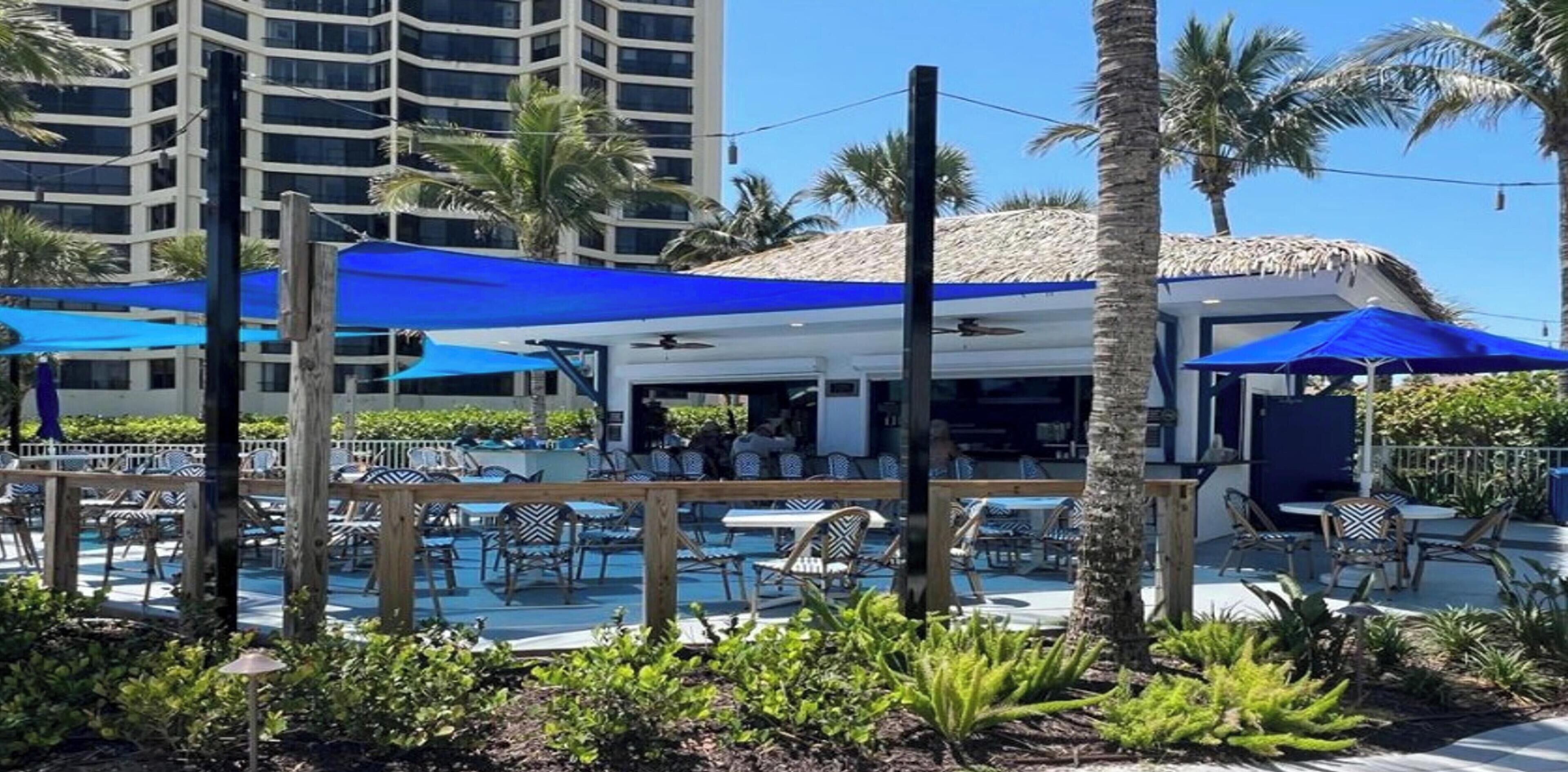 A poolside area with lounge chairs and umbrellas, surrounded by palm trees and a building in the background.