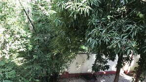 A garden area with dense foliage, a gravel path, and a white wall with a red trim. - Vacation rental house (Arrondissement de Jacmel)