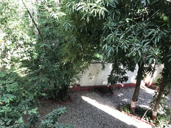 Property grounds - Vacation rental house (Arrondissement de Jacmel)