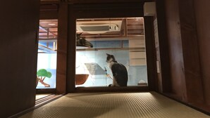 Una habitación con suelo de estera tatami, techo con diseño tejido y un gato sentado junto a una ventana.