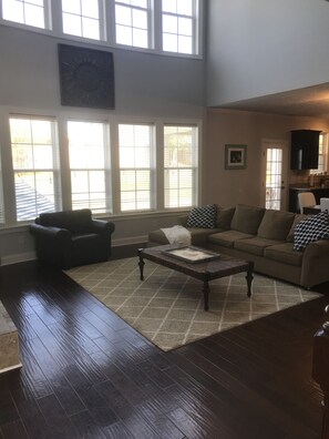 TV, fireplace, video games, books
