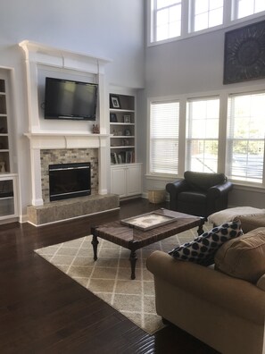 TV, fireplace, video games, books