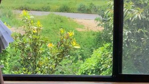 Chambre (Forest Sheep) | Vue sur le jardin