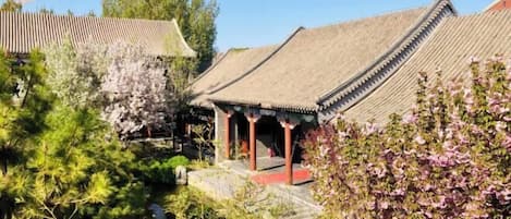 A traditional building with a tiled roof, a covered entrance, and a stone pathway leading to it.