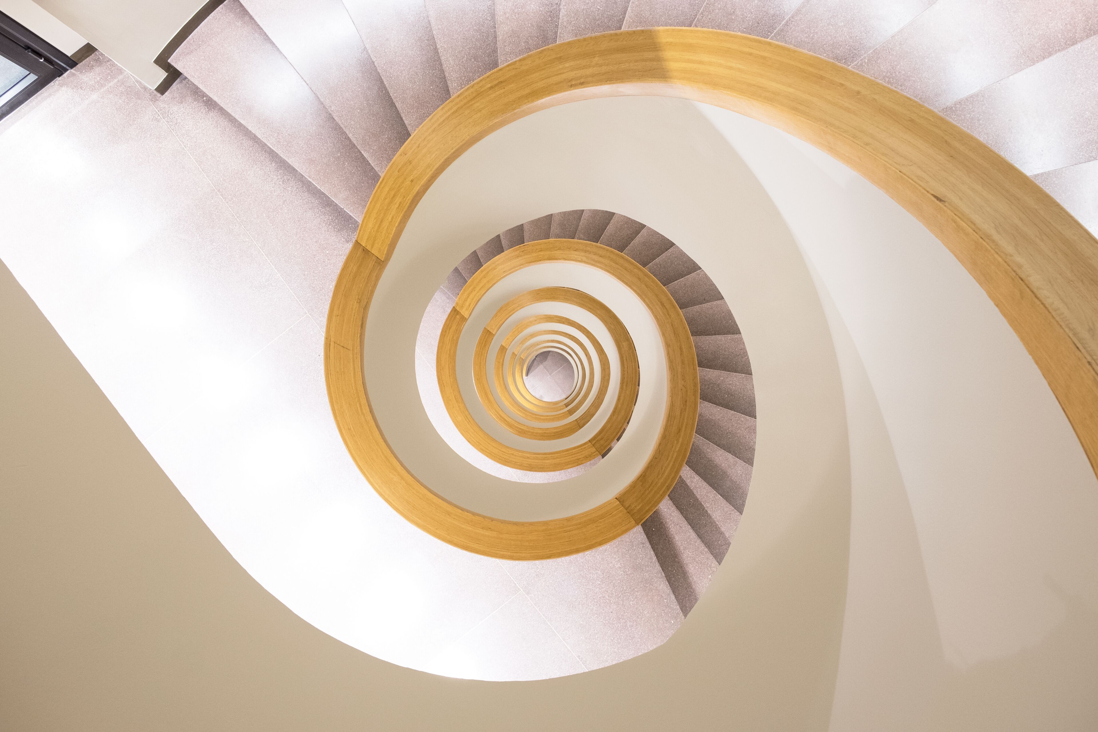 Photo - Hotel U14, Autograph Collection