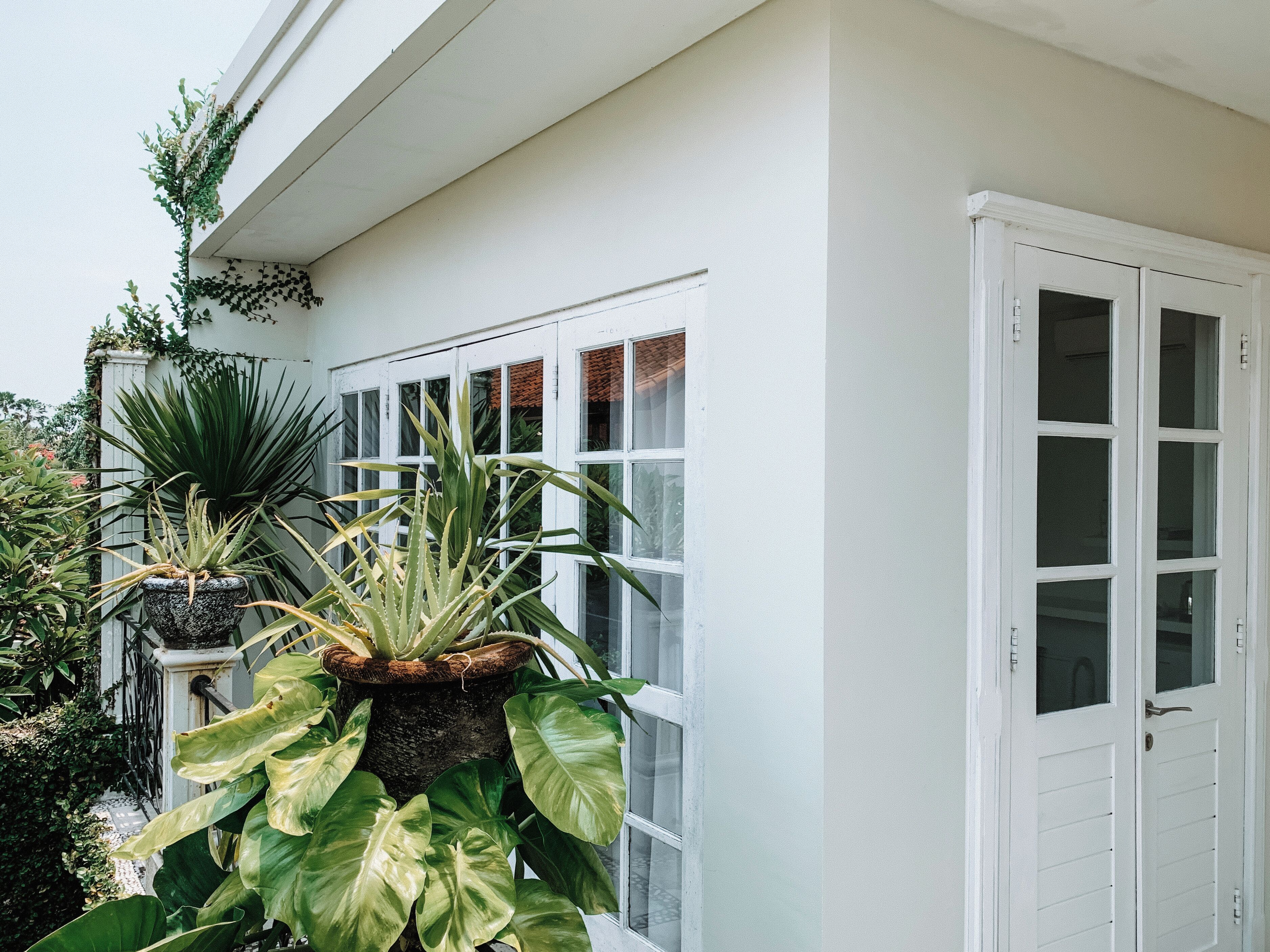 A white exterior wall with a door and windows.