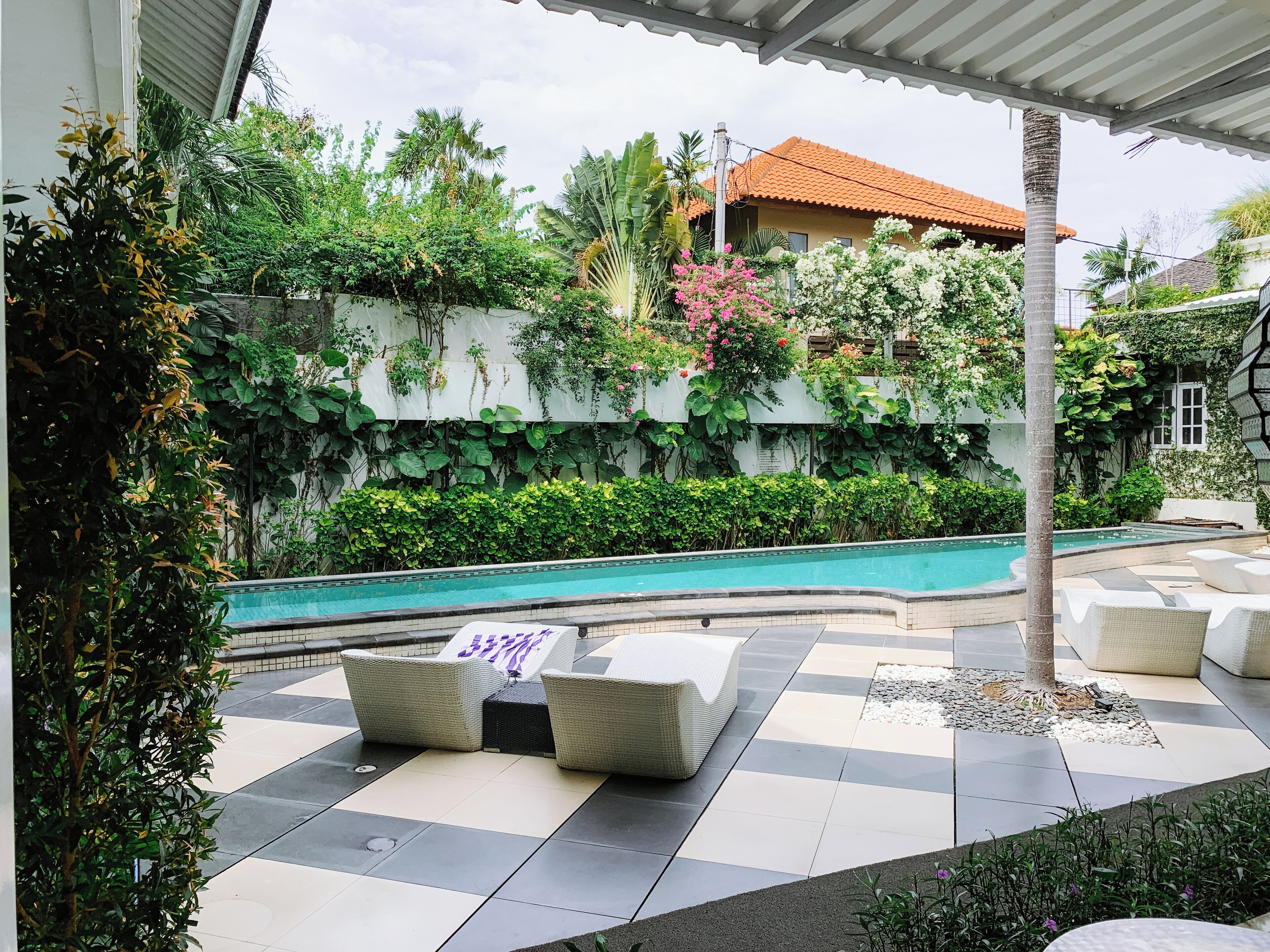 Outdoor pool, sun loungers