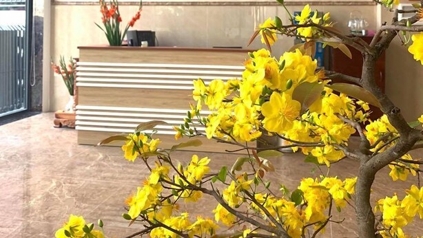 Reception - HAPPY BEACH (Nha Trang)