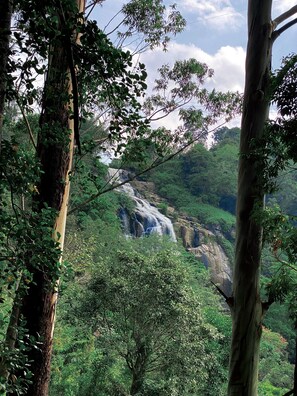 A waterfall surrounded by dense forest. - Ella Retreat Hotel (Ella)