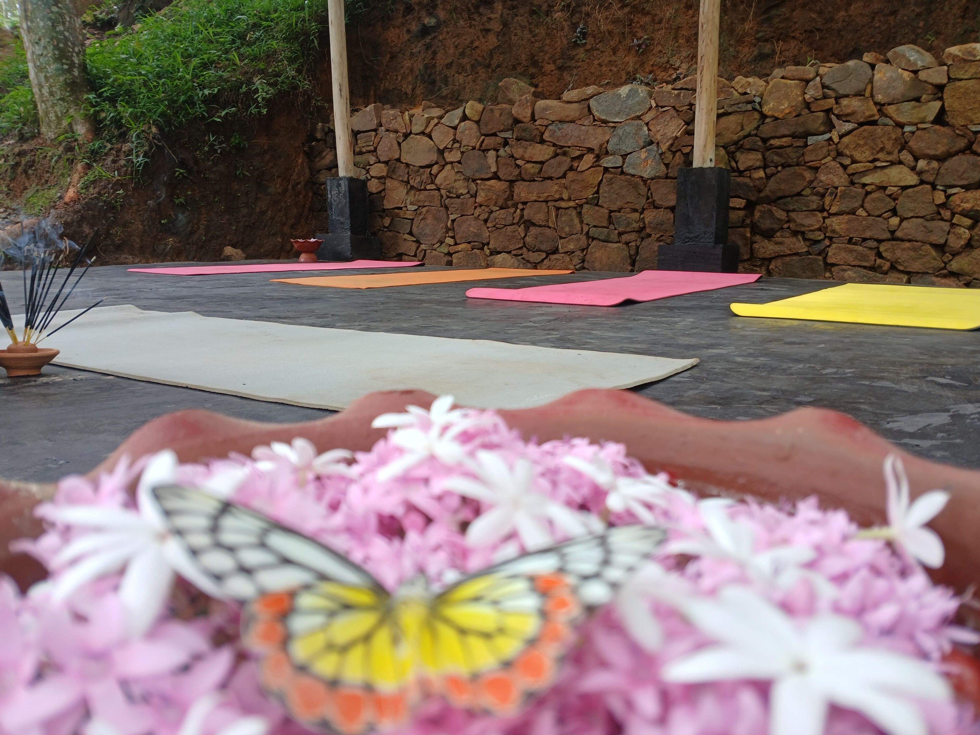A stone wall, yoga mats, and a butterfly on flowers.