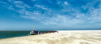 Gud Jard Chalet nr. 11 - fritidshus med sund livsstil med eksklusivt udstyr