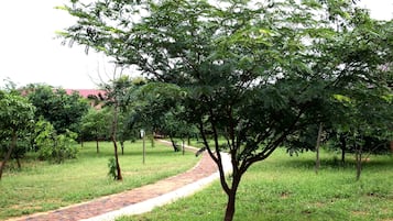Área da propriedade