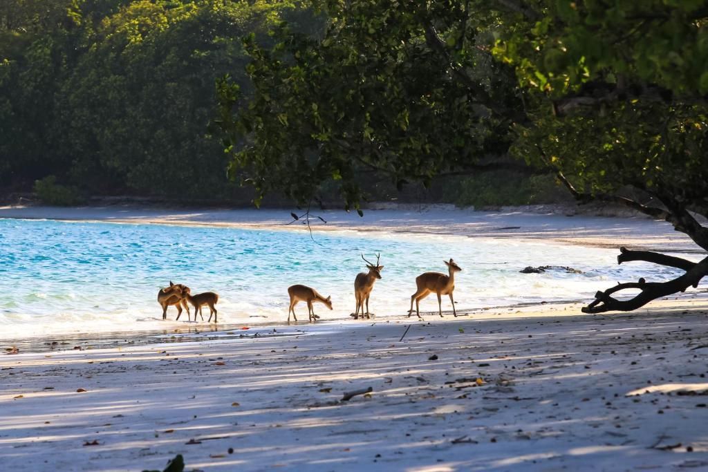 Una playa con arena y agua.