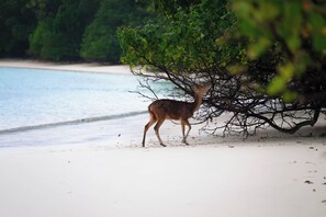 Ecotours