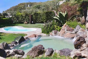 Un jardín ajardinado con piscina, rocas y abundante vegetación.