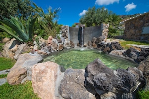 Una piscina natural rodeada de rocas y plantas, con una cascada.