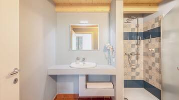 Shower, hair dryer, soap, toilet paper