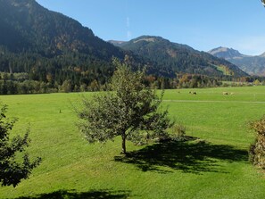 Un paisaje rural con un árbol solitario en primer plano, un campo verde y montañas al fondo.