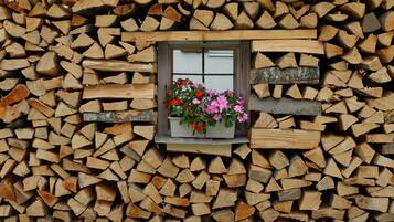 A stack of firewood with a window displaying flowers.