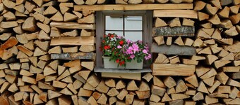 Double room 2nd floor - Pension Oberhauser