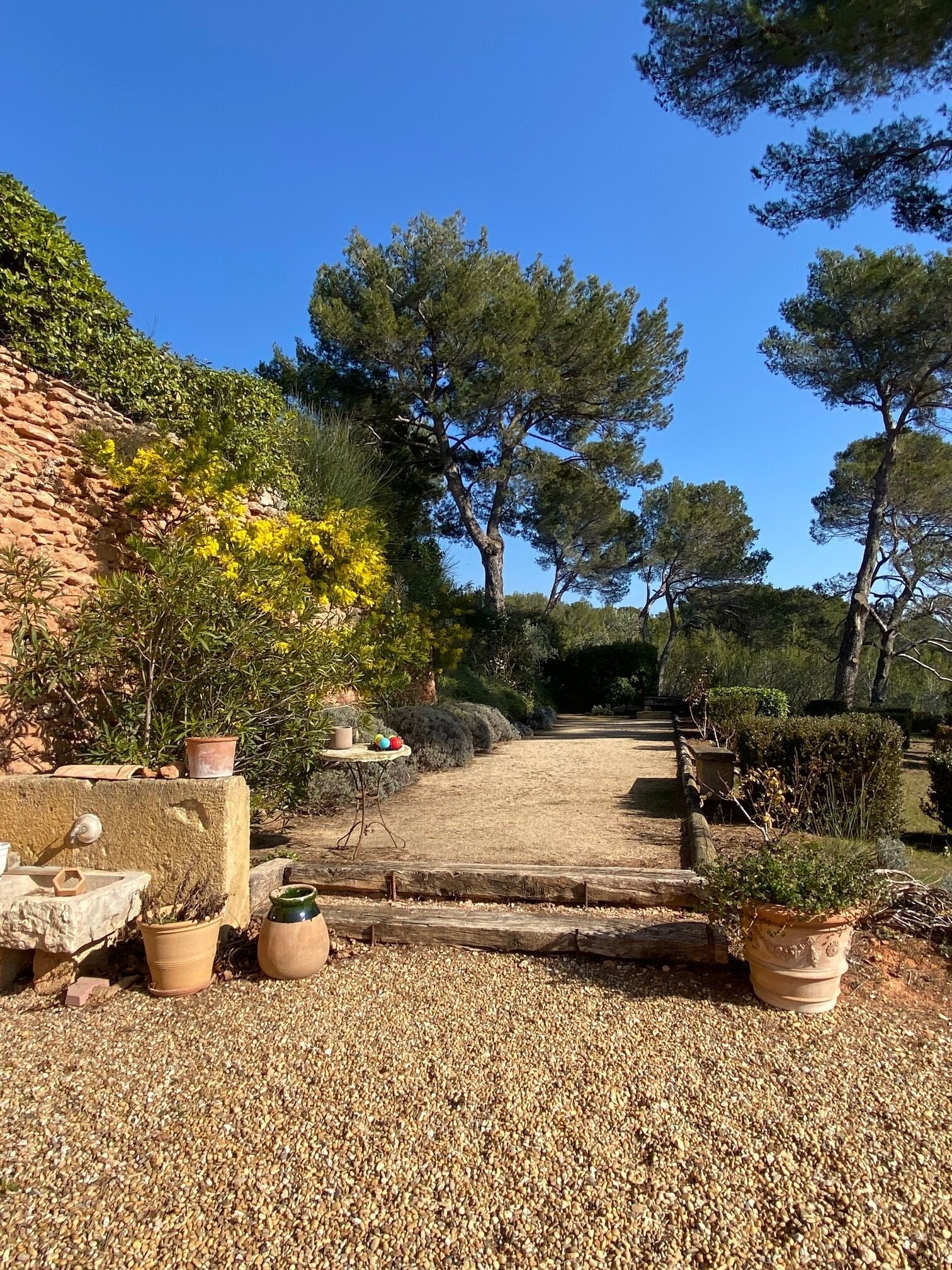 A garden pathway with gravel, potted plants, and a stone wall.