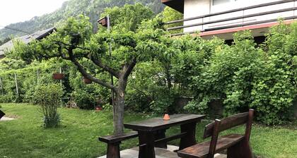 Studio Apartment Rikli Rodine near Bled