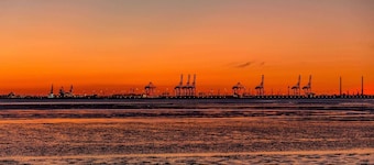 Holiday house cuckoo by the sea