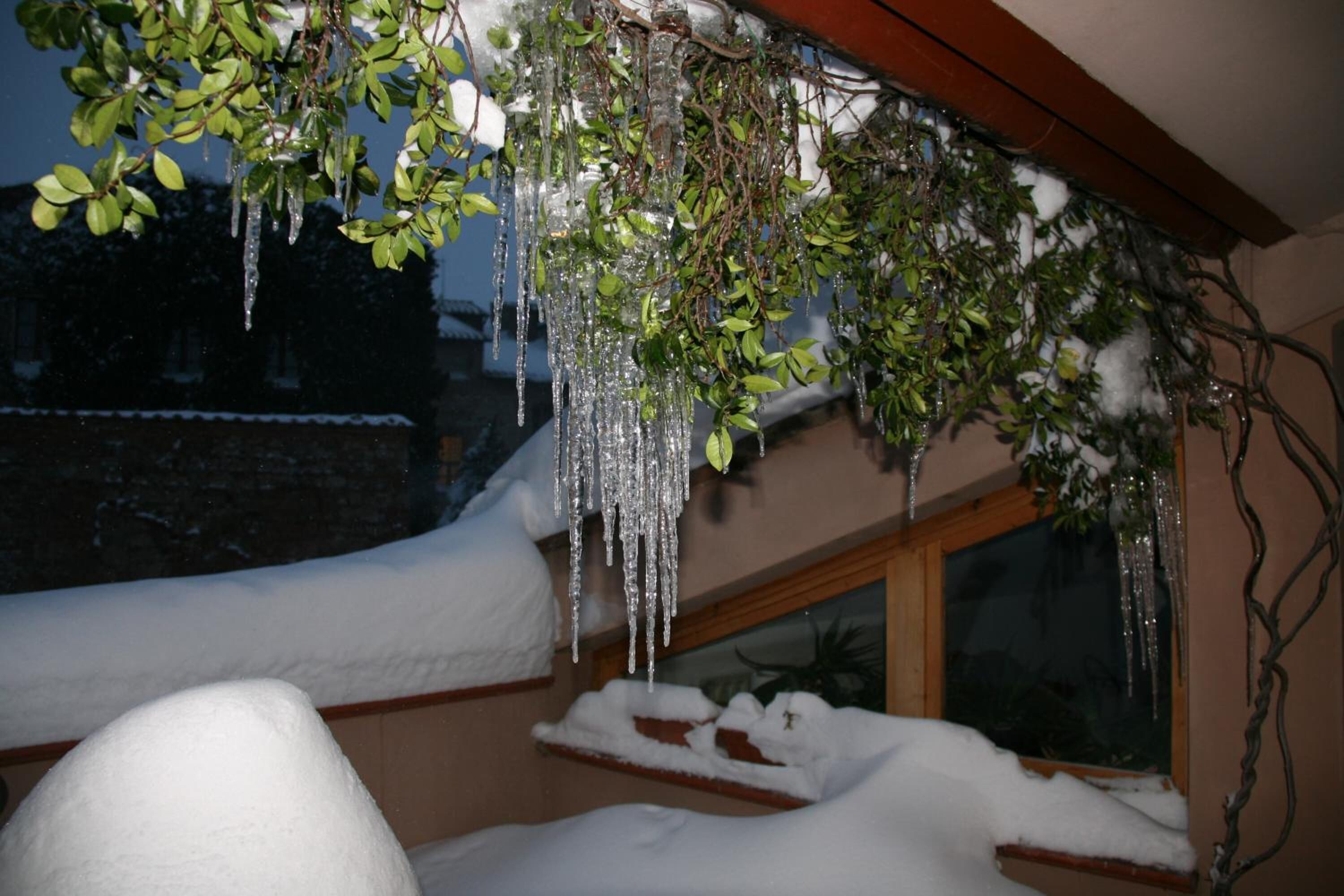 Photo - Meublé il Riccio